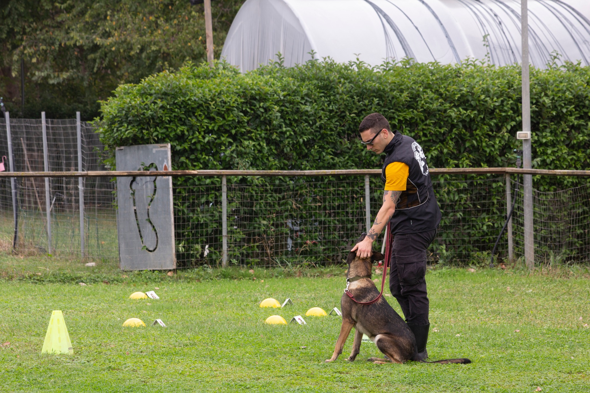 keira-la-casa-del-malinois-nosework-csen-cercola-cattolica