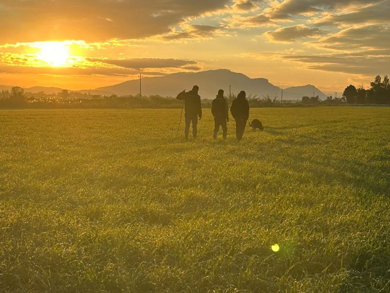 Team Pacilio Addestramento