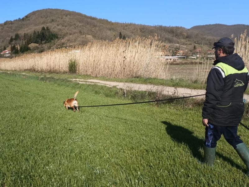 Allevamento Del Bosco Sacro